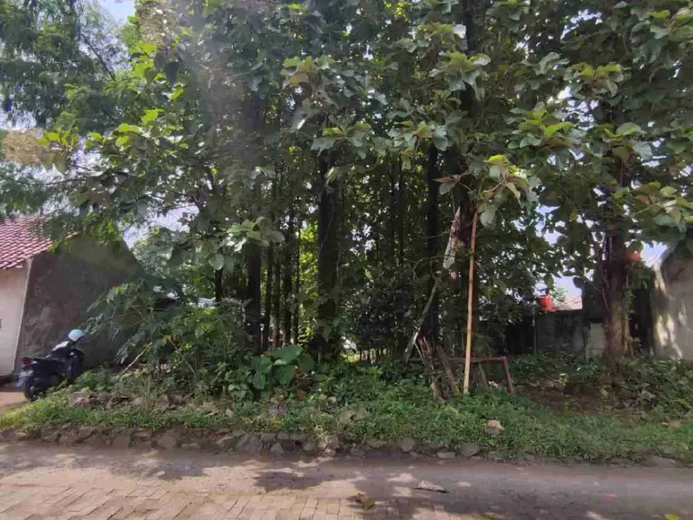 Dijual Tanah Ditanami Pohon Jati Di Cibinong Bogor