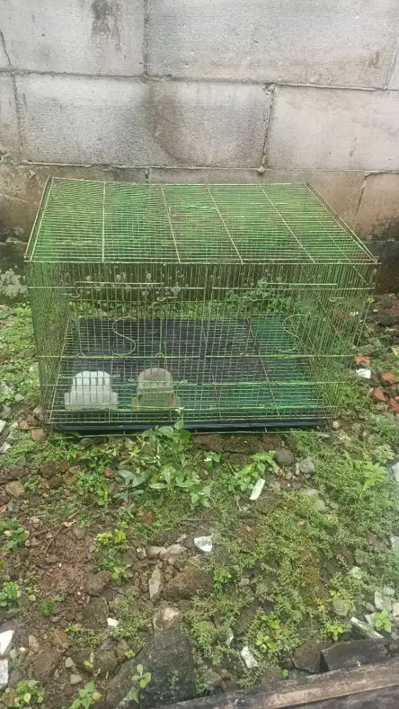 Kandang besi sekat Kotak