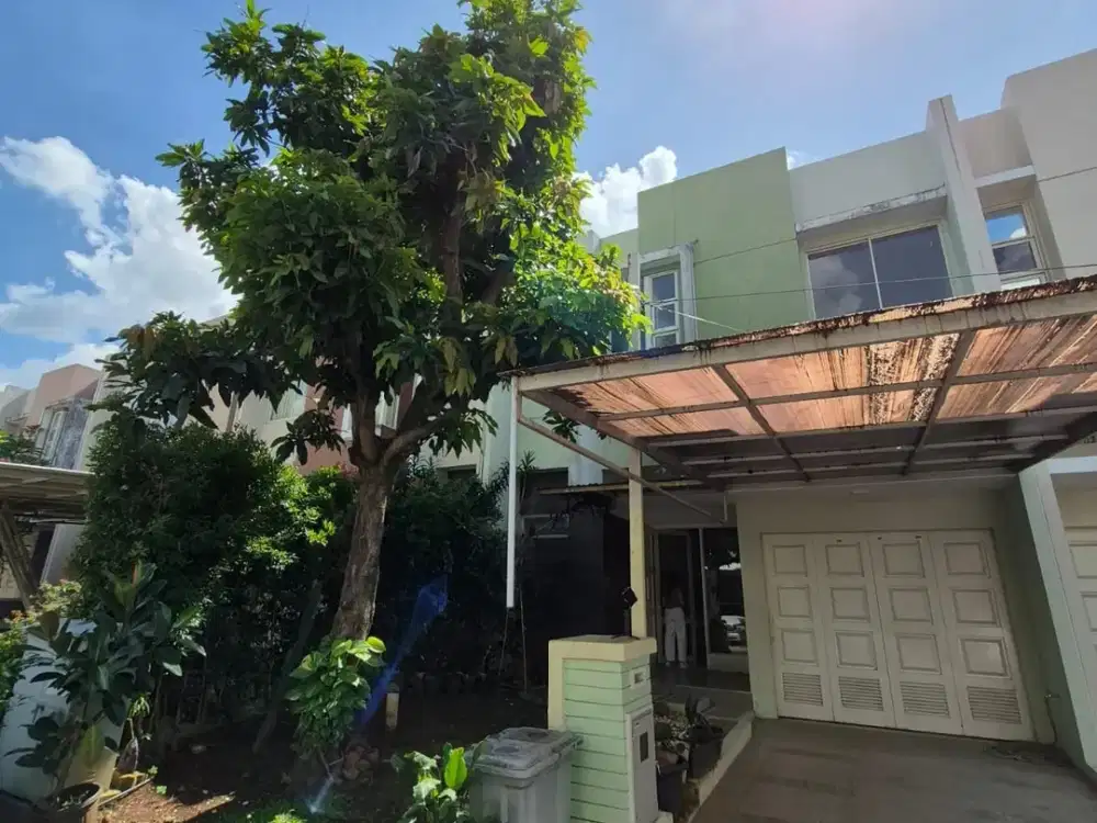 Canary The Springs Gading Serpong