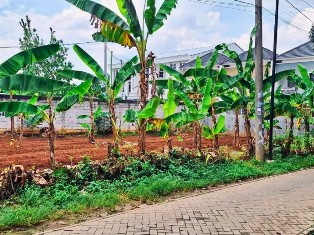 Tanah SHM 3 Jt-an Dekat Pintu Tol Rawa Buntu