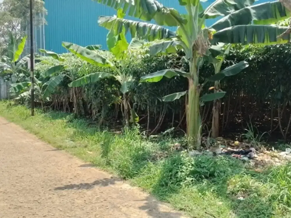 JUAL  TANAH  INI BUAT  PERGUDANGAN  DAN  CLASTER