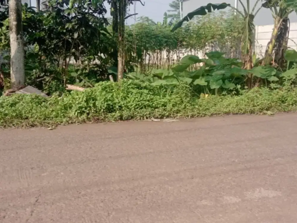 TANAH BUAT  GUDANG MASUK KONTNER DI GNSINDUR