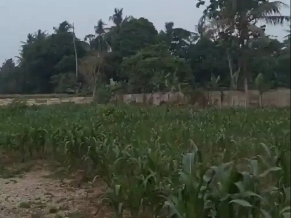 JUAL  TANAH  STRATEGIS  DI  CISAUK  TANGSEL