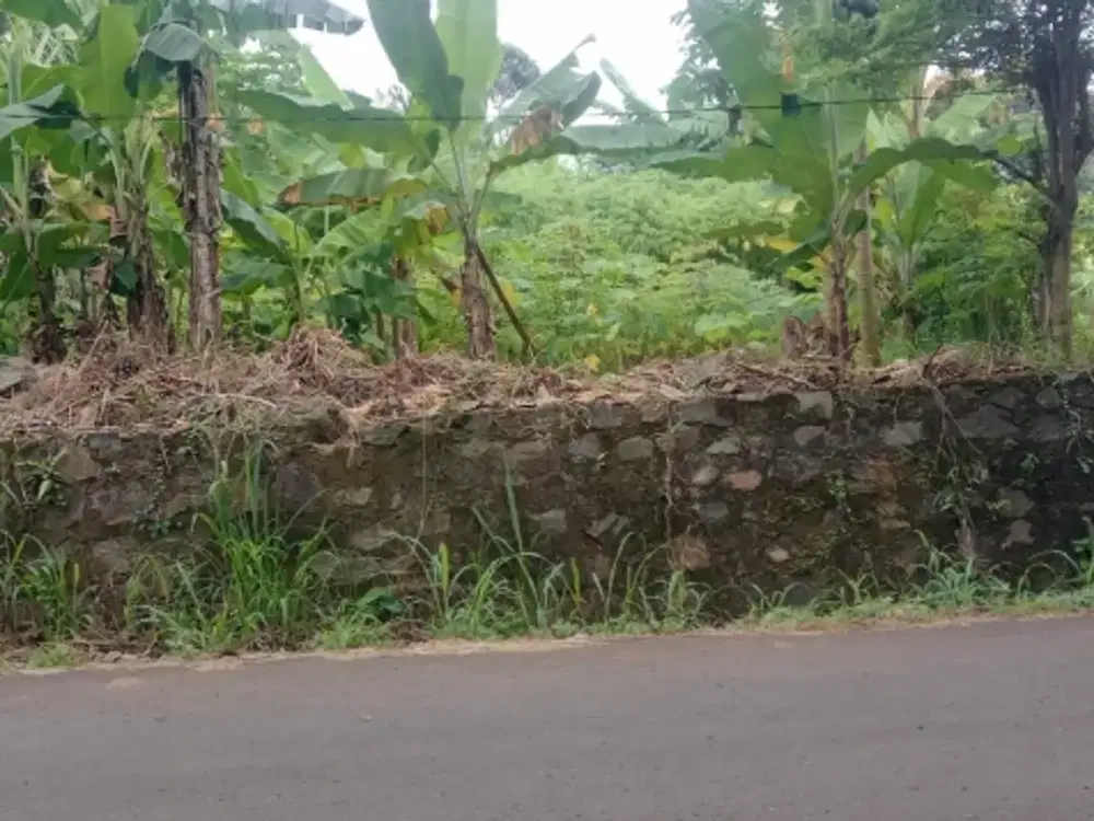 TANAH  BUAT  RM  TINGGAL  GN  SINDUR