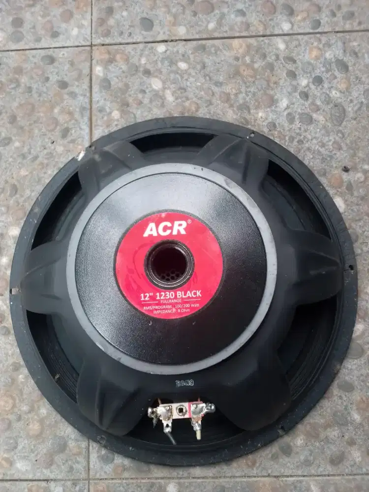 Sepeaker 12 inchi ACR