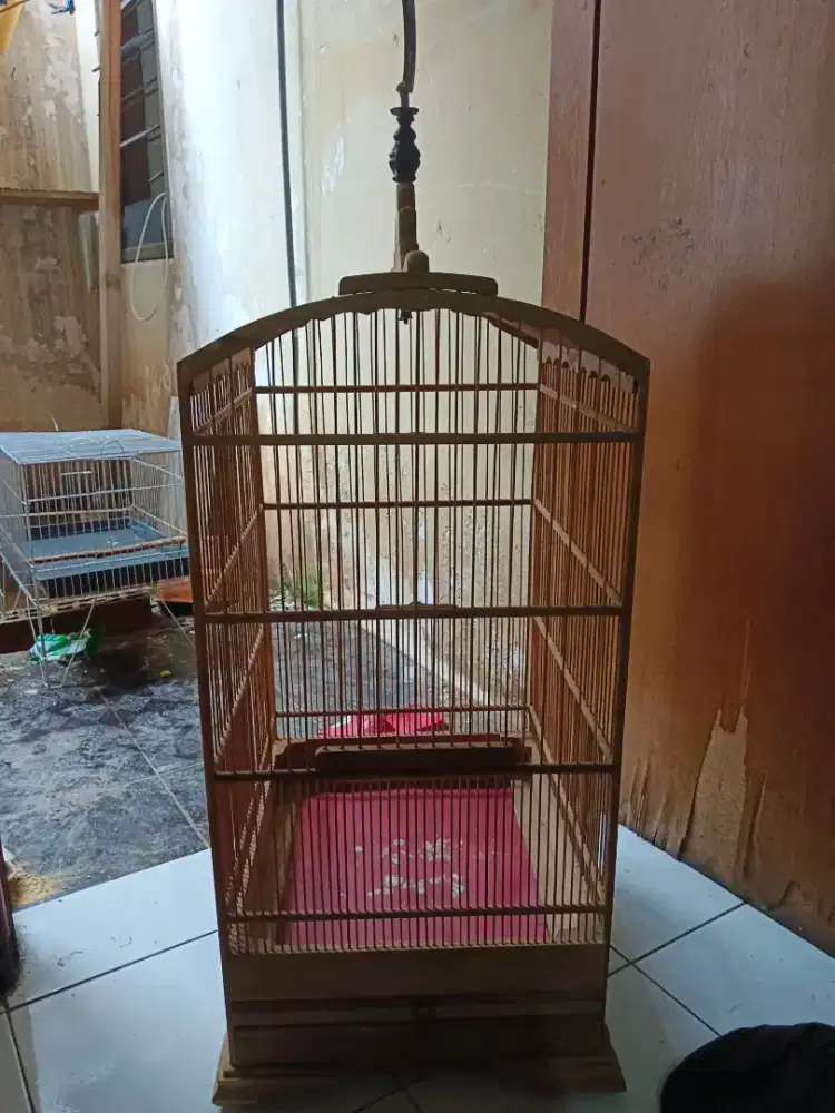 Sangkar kosan mentahan msh baru
