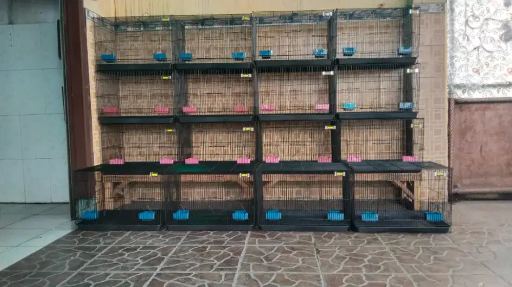 Kandang box uk 60x40 baru