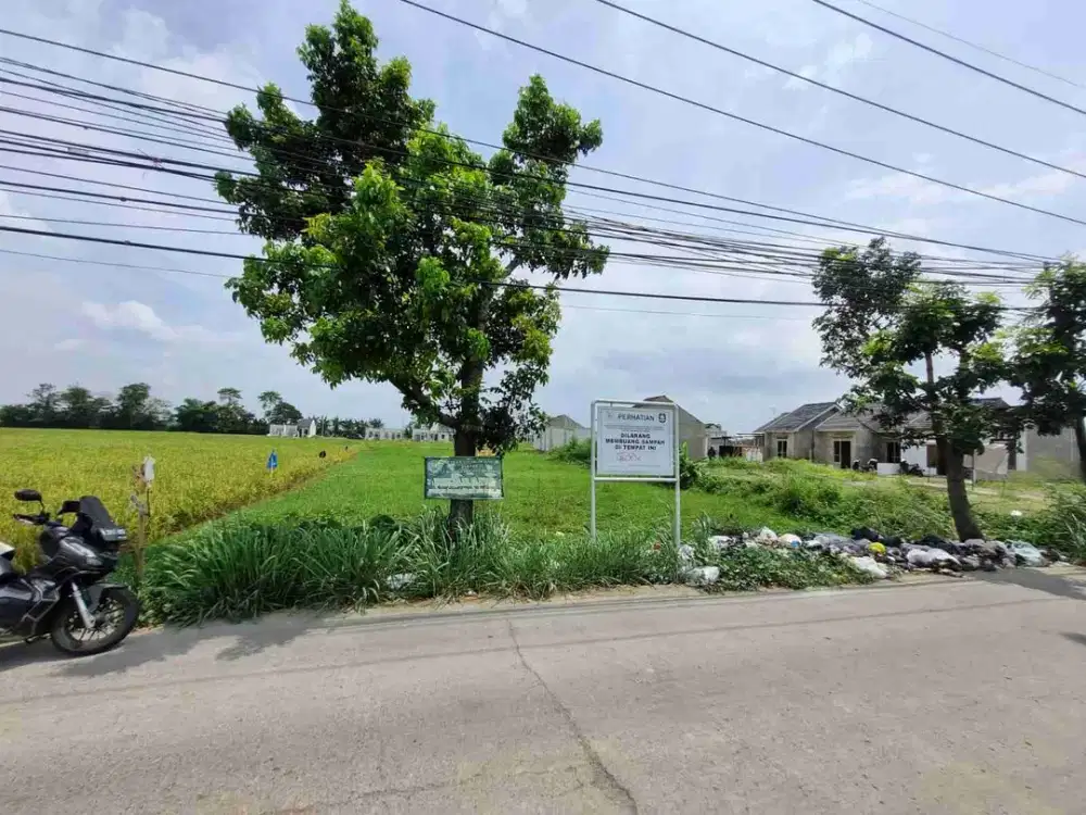 Tanah Luas di Mainroad Batusari dekat Stasiun Tegal Luar