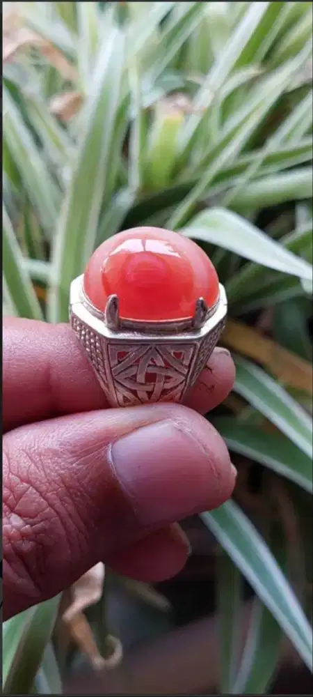 Cincin Mata Ikan Unik Natural