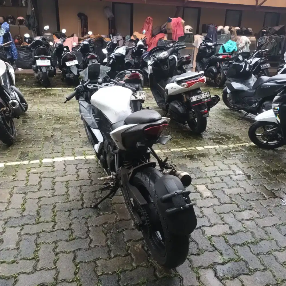 ninja sl mono 250 fi