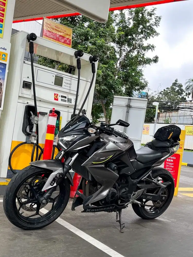 Kawasaki Z250 2017 Low KM