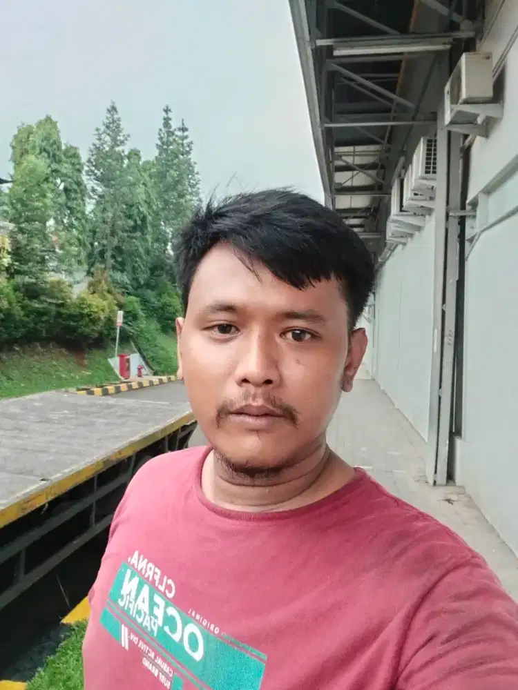 Barang kali ada yg butuh Driver/sopir truk/mobil pribadi