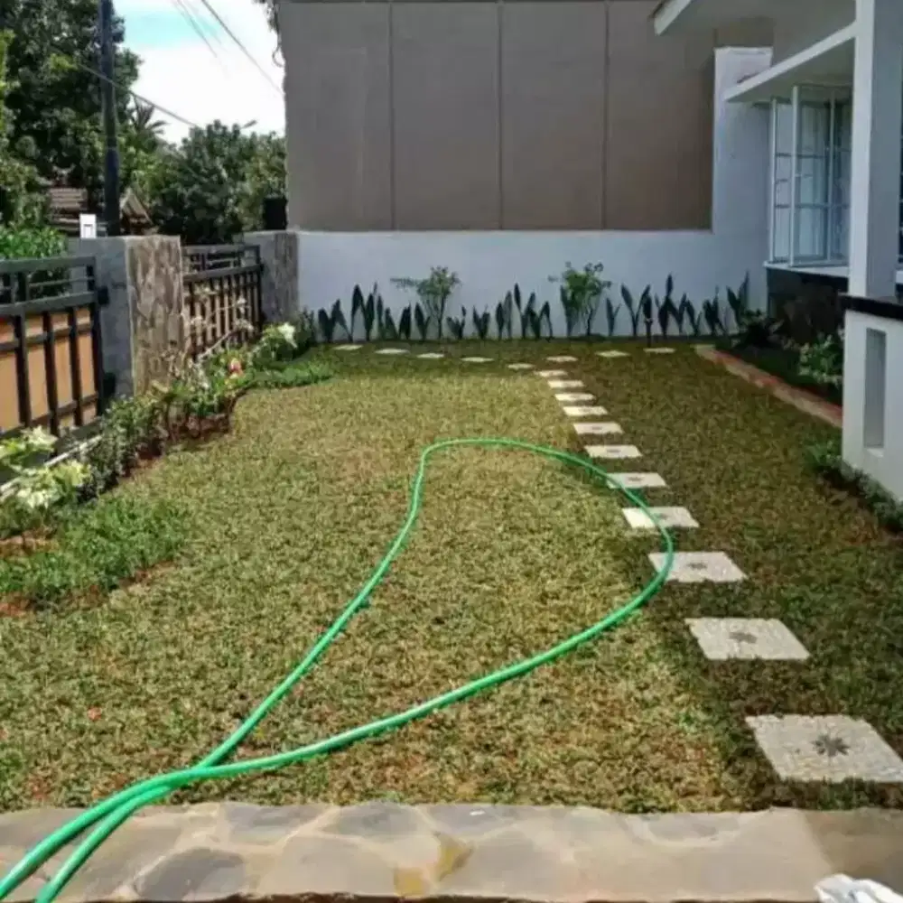 Taman rumput gajamini