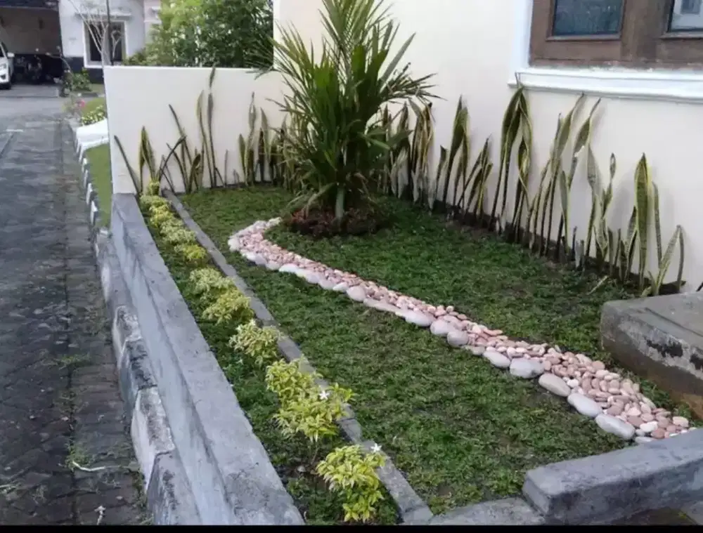 Taman rumput gajamini