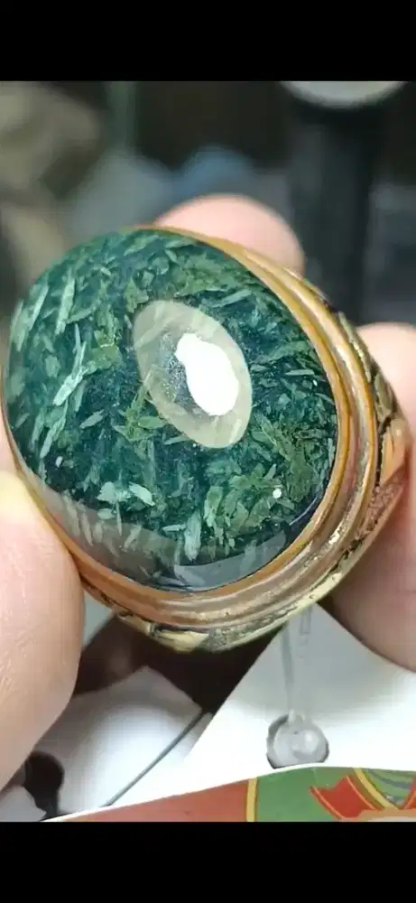 Batu Giok Nabire Juara Kontes 2/3/4 dikelas Large