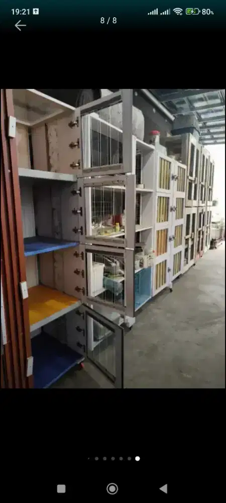 Pet hotel penitipan kucing hewan lain