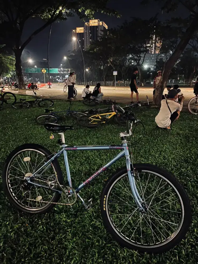 sepeda federal besic taiwan