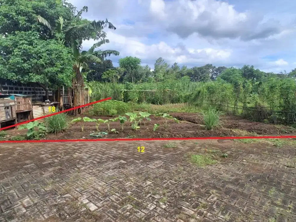 Tanah Strategis dekat Jalan Raya Losari Singosari