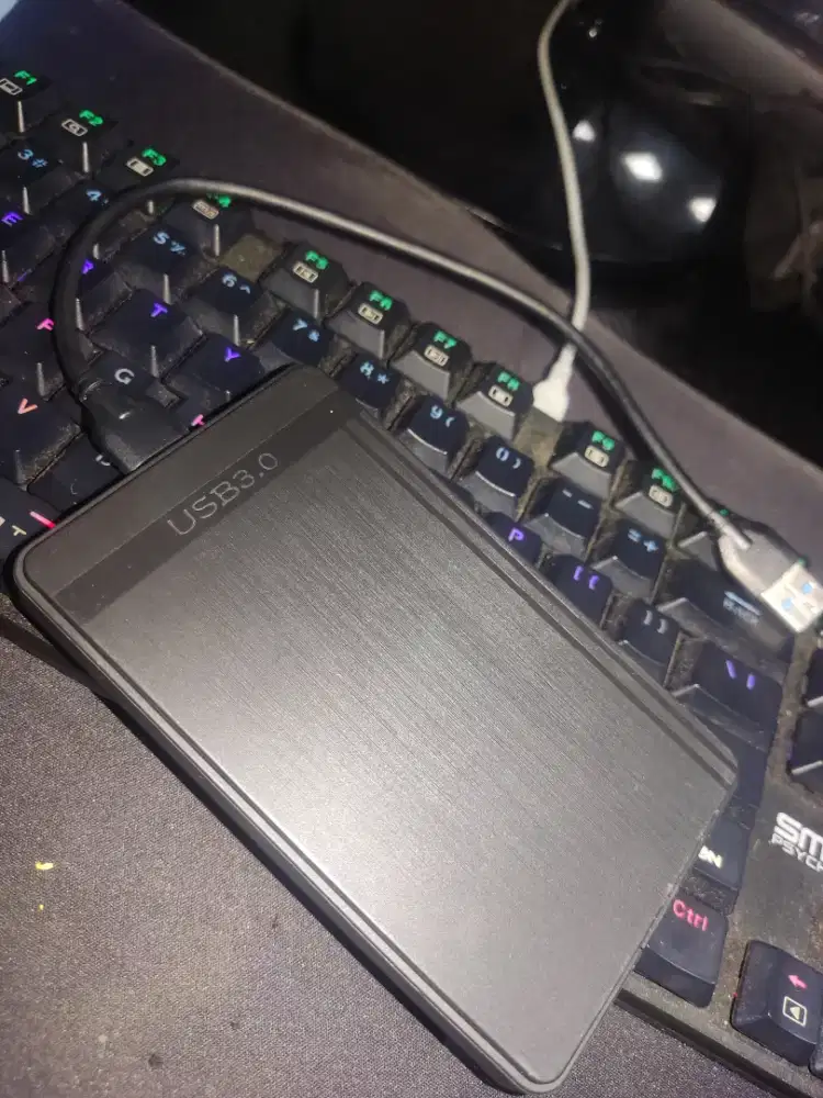 ssd harddisk external 1tb dan 500gb hardisk