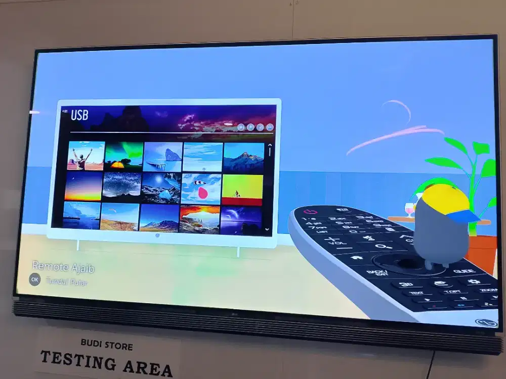 SEMART TV LG OLED E8 65 INCH