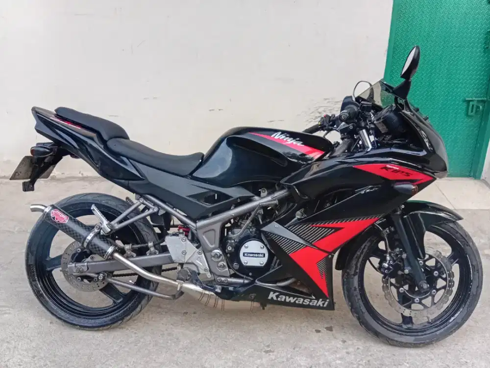 Kawasaki Ninja RR New