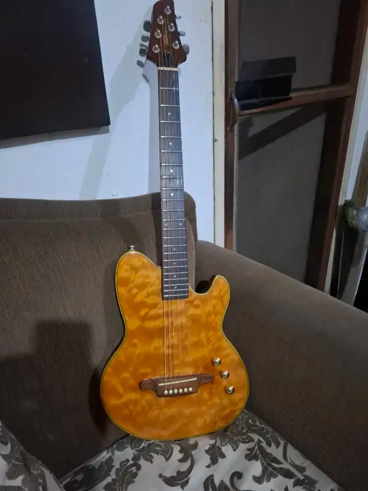 Ibanez tmx20( rare)