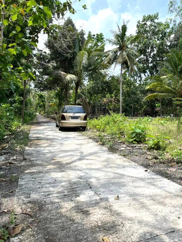 Tanah Pekarangan Murah di Argodadi Sedayu