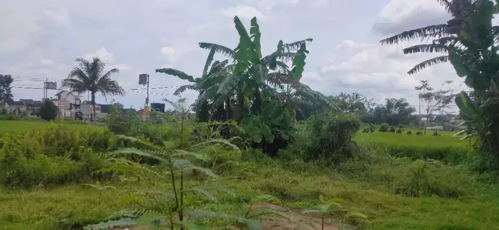 Dijual tanah di Singosari kabupaten Malang provinsi Jawa Timur