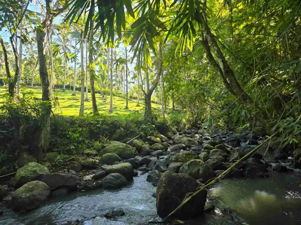 Dijual Tanah View Janggle Los Sungai Tabanan Bali