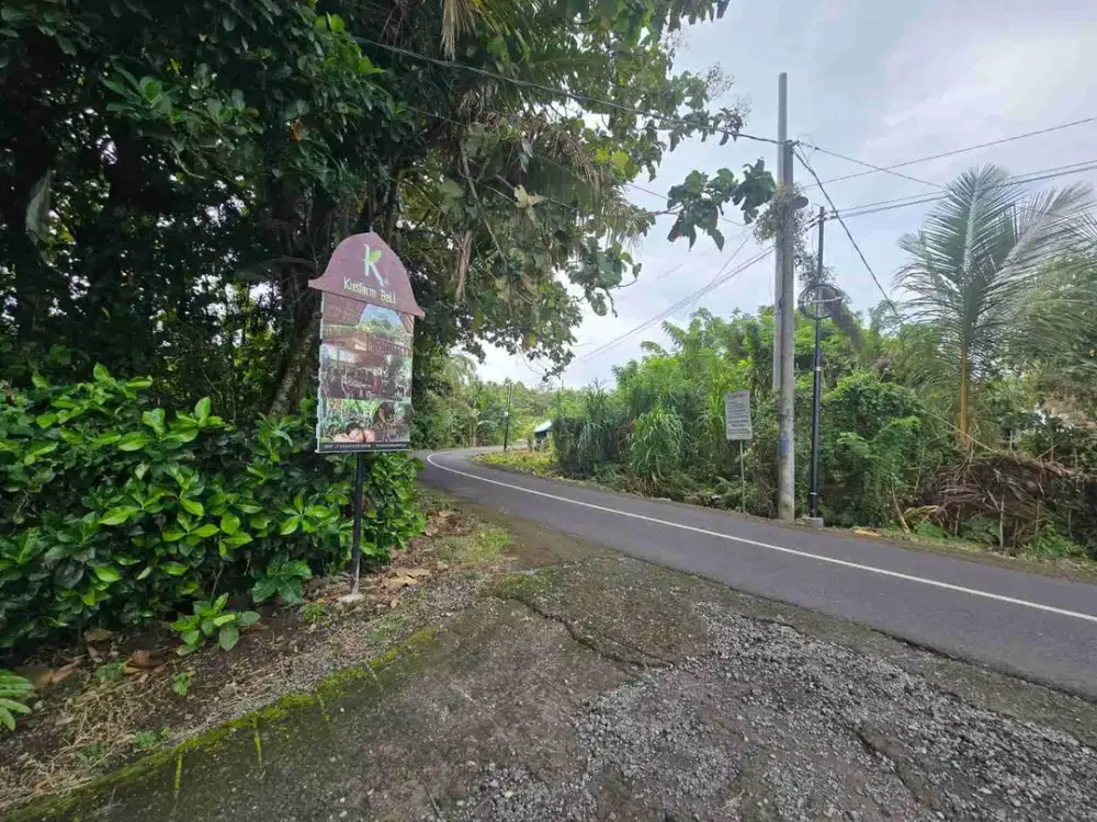 Tanah Luas Kecil Dekat Villa view Lembah Dan Janggle Tabanan Bali