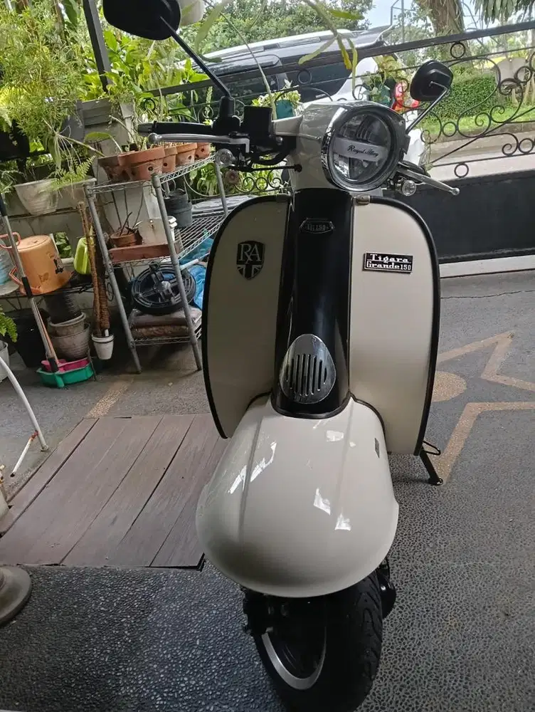 Royal Alloy TG 150 Jet Black