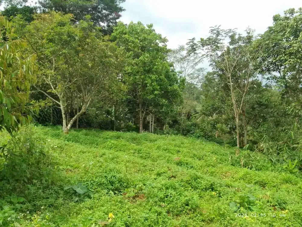 di jual lahan kebun SHM batas sungai akses mobil di parungkuda Sukabumi