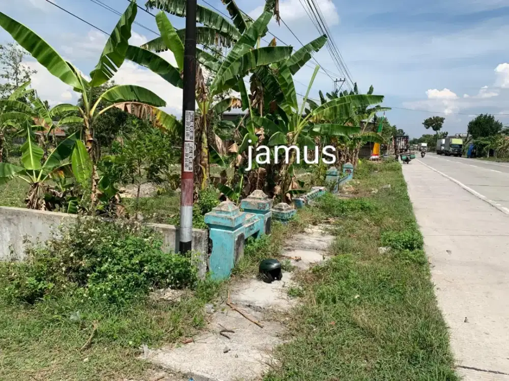 Jual tanah pinggir jln raya sumber lawang luas 1914m harga 1jt/MTR neg