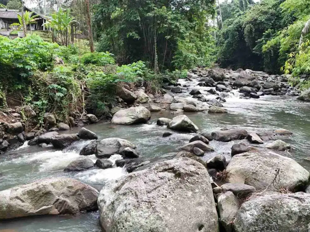 Dijual Tanah Los Sungai Indah Berbatu Di Tabanan Bali