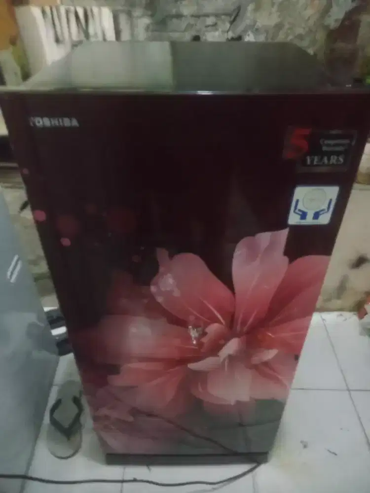 Kulkas 1 PT. Merk toshiba