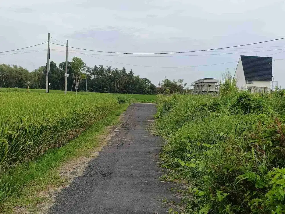 Di jual tanah siap bangun  250 M2 zona pariwisata dekat pantai Kedungu Tabanan