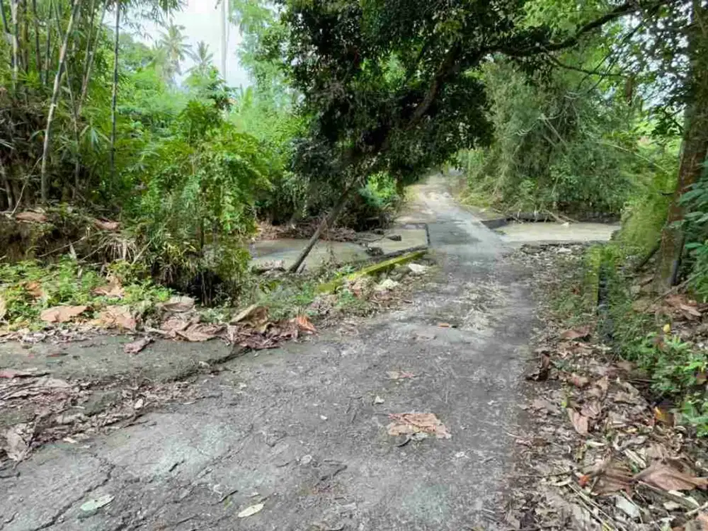 Dijual Tanah Kebun View Sungai Tabanan Bali