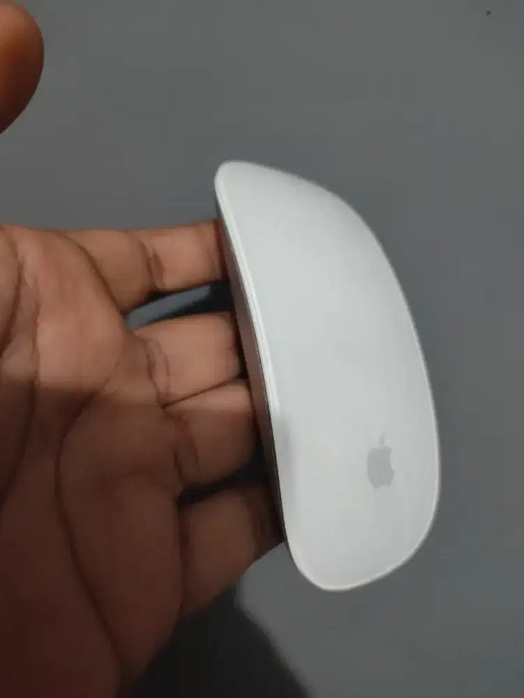Magic Mouse Gen 2