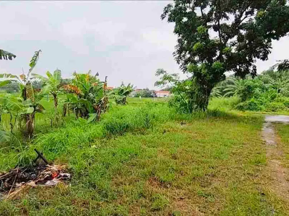 Tanah Siap Bangun Jalur Lingkar Barat Sumurwelut Lakarsantri Dekat Citraland Surabaya