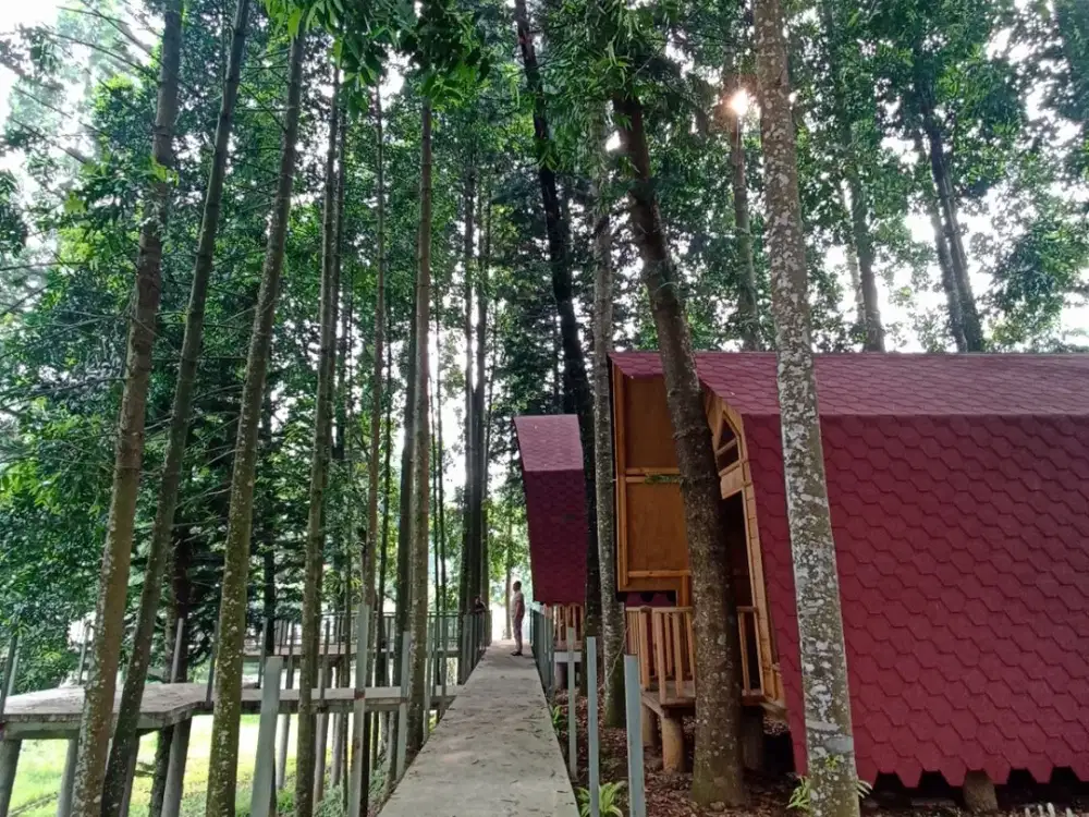 DIJUAL TANAH BAGUS UNTUK VILLA, GLAMPING & CAFE DI MEGAMENDUNG