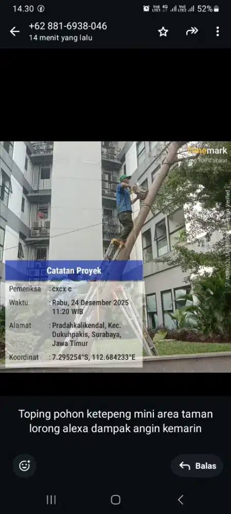 Tebang pohon dan potong rumput