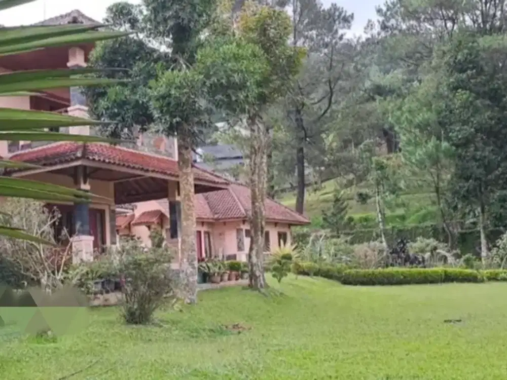 DIJUAL VILLA BAGUS AKSES LANGSUNG JALAN RAYA PUNCAK DI CILOTO