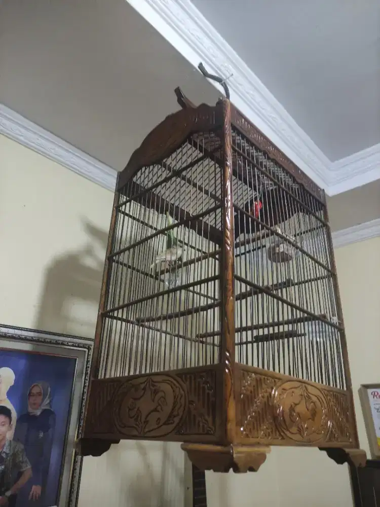 Kandang ukir jati no 3