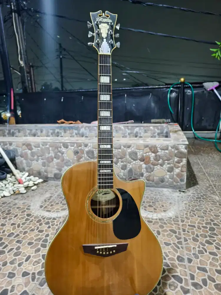 Gitar Akustik Elektrik D'Angelico Premier Gramercy