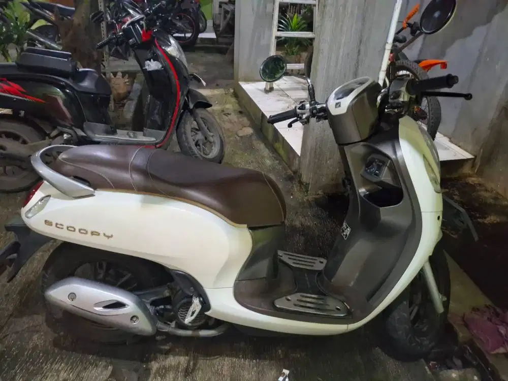 Scoopy keyless 2022