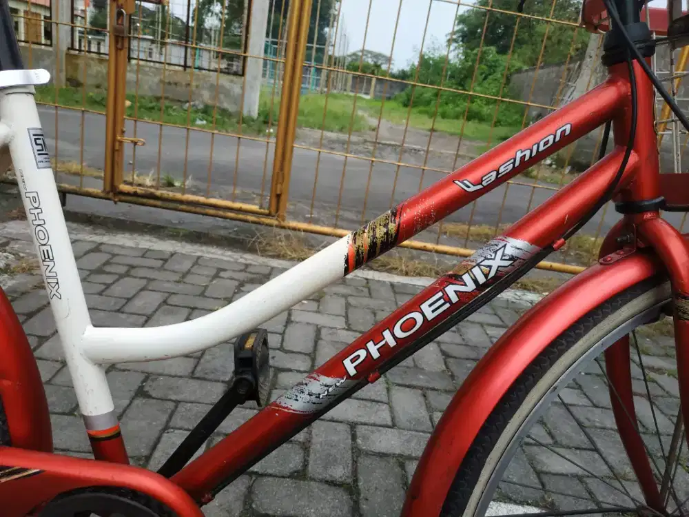 Sepeda keranjang New Phoenix Sera Siera ring 26 mulus spt baru terawat