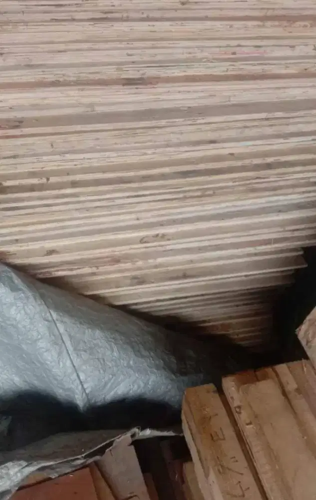 Jual triplek 15mm Bekas ukuran 120x240
