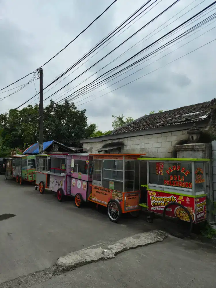 grobak BARU gorengan/risol/sempol ayam/sosis/pempek/es buah/DLL