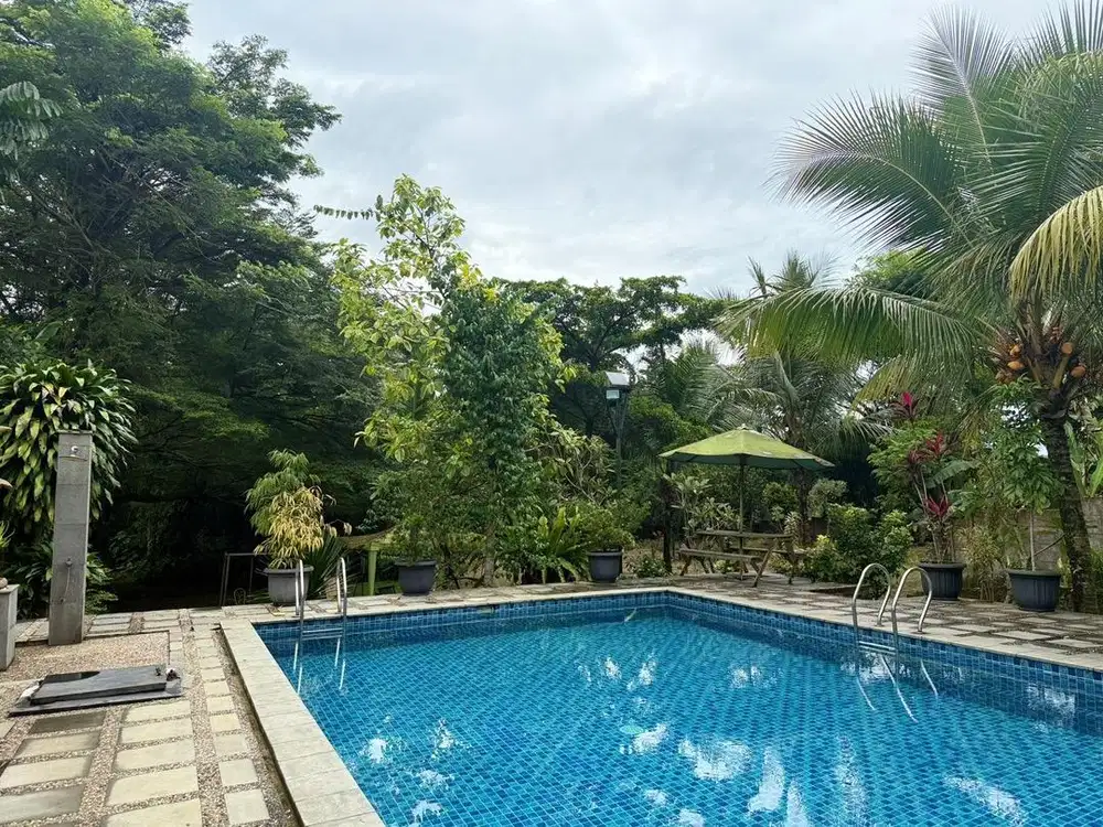 Kerjasama Les Renang Anak