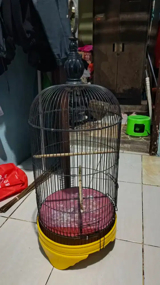 Kandang lovebird lb pvc